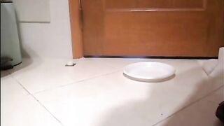 Tasty babe pooping on the floor