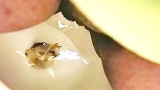 Juicy lady pooping in the toilet