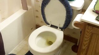Amateur lady with sweet bubble butt teasing in toilet