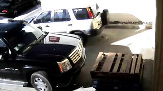 Pooping behind the car