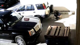 Pooping behind the car