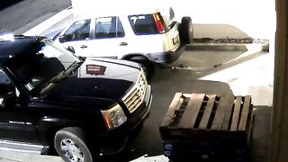 Pooping behind the car