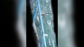 Pink old pussy lady pooping heavily