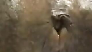 Gold nugget from sexy asshole