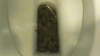 Cute amateur lady poops heavily in the toilet