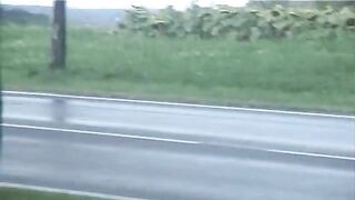 Warm poop in the farm