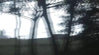 Warm poop in the farm