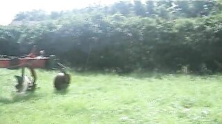 Warm poop in the farm