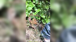 Young lady shitting in the forest