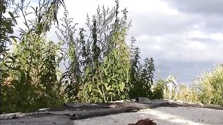 Russian babe pooping in the forest