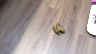 Redhead babe with juicy ass pooping and masturbating