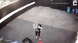 Pooping in the backyard