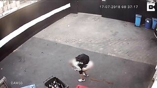 Pooping in the backyard