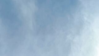 Pooping on her own car windscreen