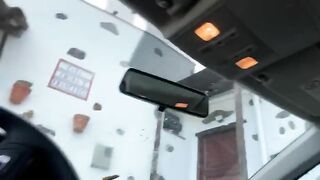 Pooping on her own car windscreen