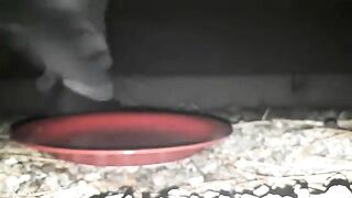 Tasty piss and poop on the red tray