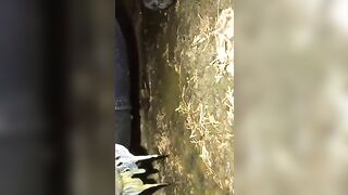 Enema and shit outdoor