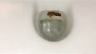 Creamy shit in the toilet