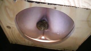 Green hard turd in the toilet