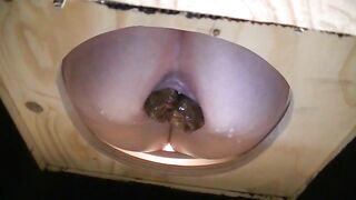 Green hard turd in the toilet