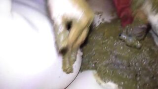 Scat horny couple