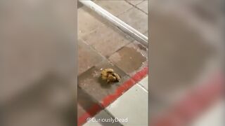 Amateur lady poops in the public