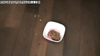 Nice brunette babe pooping in the bowl