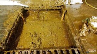 Betty submerges in cowshit while masturbating