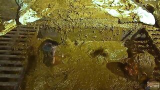 Betty and cowshit compilation