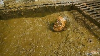 Betty and cowshit compilation