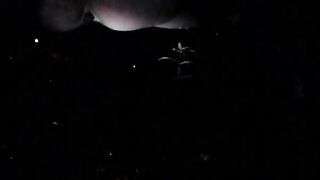 Pooping in the park at night