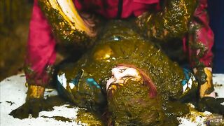 Cowshit punishment Squid Scat Game