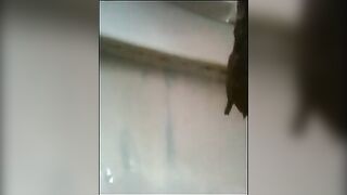 Compilation of hot chicks and thick loads