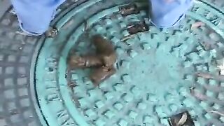 Amateur lady pooping in the forest