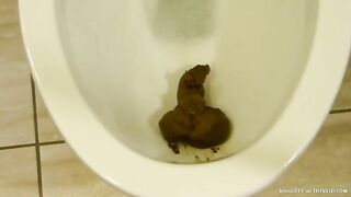 Dirty MILF poops in WC