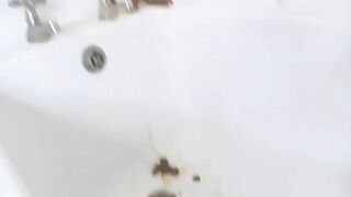 Pretty brunette teen girl poops in doggy style