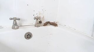 Pretty brunette teen girl poops in doggy style