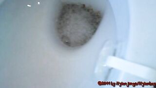 2Homemade poop show
