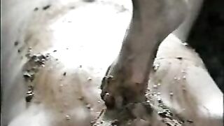 Dirty Asian mistress pooping on slave