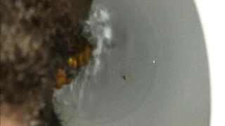 Hairy pussy and hard turds