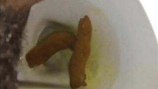 Hairy pussy and hard turds