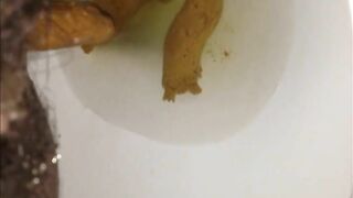 Hairy pussy and hard turds