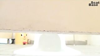 voyeurs' shit in the toilet