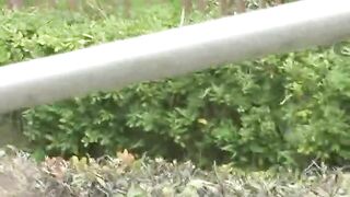 Asian sexy girl poops in the forest