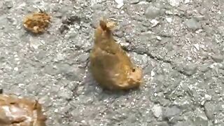 Asian sexy girl poops in the forest