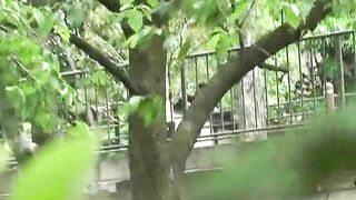 Blonde lady and putdoor poop