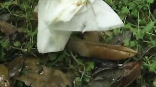 Naught young hot chick poops