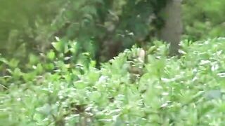 Young lady pooping heavily on the foot path