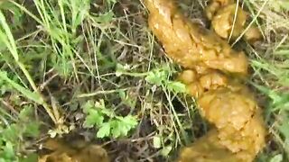 Cheeky ass Asian lady poops in the forest