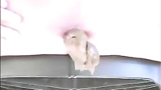 Lovely blonde girl poop teasing closeup